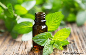 Millville peppermint pain relieving benefits