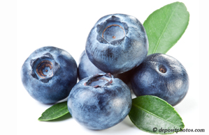 Millville chiropractic and nutritious blueberries